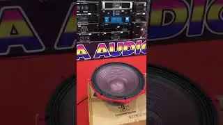 SOLD SPEAKER RDW 18 LS 88 PRO CARBON DIAMBIL OLEH OM UNTUNG DARI GUNUNG SARI LAMPUNG UTARA