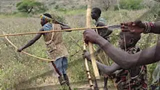 The economy of East Africa during the pre-colonial period