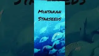 #starseed #lightworker #blacksheep #angels  #Mintakan #Orion  #Mermaids #Ocean #Faith #crystals