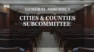 House Cities & Counties Subcommittee- January 24, 2024- House Hearing Room 2