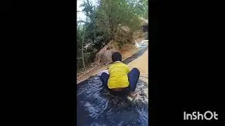 ମା ପୁଅ ଝିଅ ଚିକେନ ପକୋଡା ଖାଇଲୁ 
