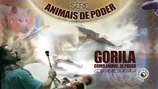 Gorila &raquo; Como Animal de Poder &raquo; Akai&ecirc; Sramana