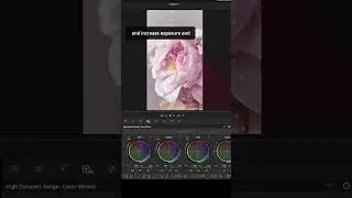 HDR panel in DaVinci Resolve. #shorts