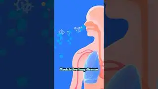 Three types of lung diseases explained: Restrictive, obstructive & vascular #lungs #breathing