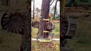 From Chainsaws to Machines: How Logging Has Transformed #shortvideo
