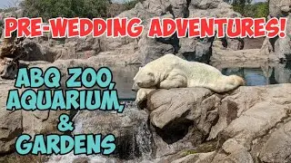 Lions, Tigers, and Bears! | Visiting Albuquerque Zoo, Aquarium, & Botanical Gardens! | Van Life