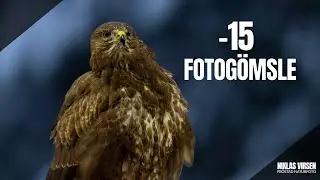 Minus 15 och magiskt ljus, följ med till mitt fotogömsle!