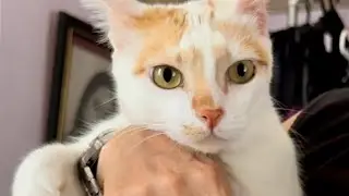 Saying Goodbye to My Children (子供たちに別れを告げる)