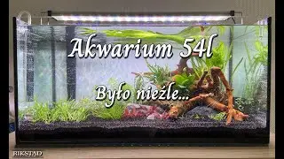 06 - Akwarium 54l - Było nieźle