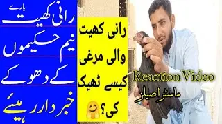 Reply to @shoqeenloog4130 on &ldquo;RaniKhet Bimari Ka Treatment |How I cured a sick chicken in Rani Khait&rdquo;