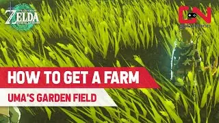 How to Get a Farm in Tears of the Kingdom - Hateno School Field Uma's Garden