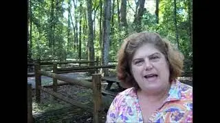 O'Leno State Park Camping (High Springs, Florida)
