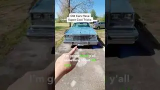 Old Cars Had *LITERAL* &lsquo;Bumpers&rsquo;
