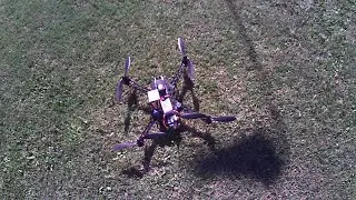 Reptile 450 VR &mu;Brain 5.1 fw3.2RC9