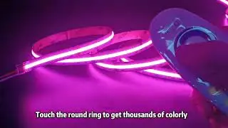 COB RGBW LED Strip DC24V 896 LEDs, high bright working with led controller and led power supply.
