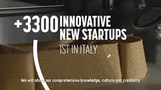 From Japan to Lombardy: Exploring the Reasons behind the choice through corporate testimonies