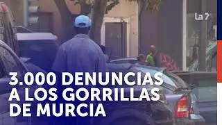 Los gorrillas resisten en Murcia después de más de 3.000 denuncias | La 7