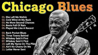 Smooth Blues Guitar Night | Classic Chicago Blues Inspiration