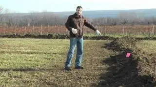 Installing Drain Tile in Vineyards