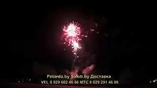 PCM100 01