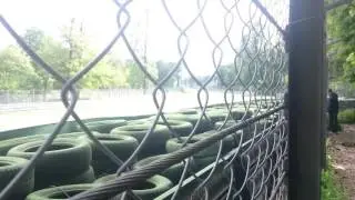 F1 V10 pure sound Monza