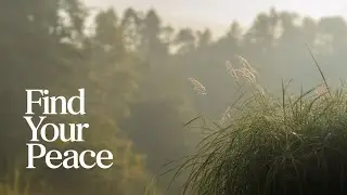 ☘️ Deep Healing Guided Meditation ☘️| Peaceful Music for Stress Relief and Relaxation