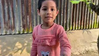 মুরগিগুলোর কি যে হলো 🥲