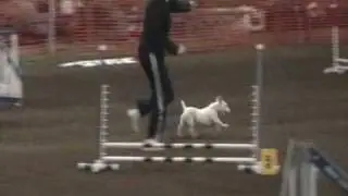 2212009 111226