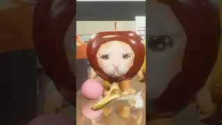 Banana Cat  Bowling Tournament