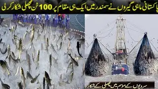 Unique Catching 2020 | Catching A Lot of Fish In Dry Season