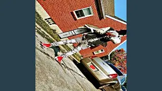 Freestyle