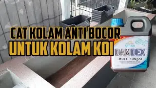 CARA PAKAI DAMDEX UNTUK KOLAM KOI