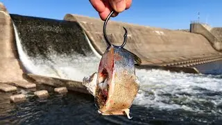 I Thought I was SNAGGED... Then it Started SWIMMING!!! (New PB!)