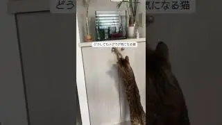 狙わないでよー💧