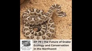 Snake Talk Podcast, Episode 79 | The Future of Snake Ecology and Conservation in the Northwest