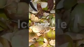 Ice Apple cutting skills || Amazing cutting skills || TadGola || talsash #shorts