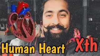 Human Heart For Class 10th | Biology By Ritesh Pandey