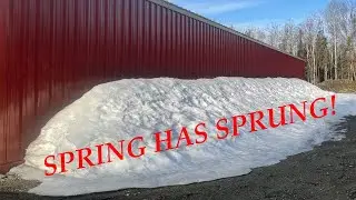Spring Is Here On The Alaskan Homestead!