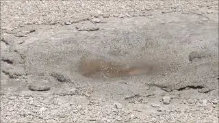 Bearclaw Geyser (1 June 2021) (HD)