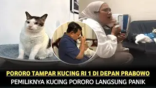 Kucing RI 1 Kena Tampar, Pemilik Pororo Panik Minta Maaf ke Prabowo