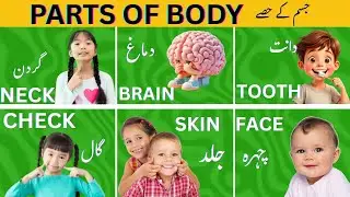 Parts Of Body For Learning #arm #facebook #english #hhkidsportal