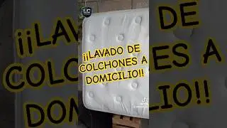 &iquest;TUS COLCHONES TIENEN MANCHAS, MAL OLOR? CONTACTANOS #letsclean #tekaldevenegas #hogarysalud