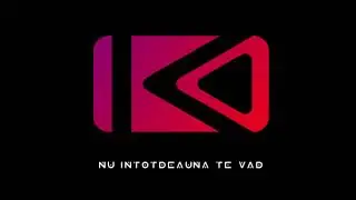 IRIMIA - Nu Intotdeauna Te Vad (feat. Ionut) - Official Audio