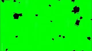 #42 | Graduation Hats - Green Screen | T G S A
