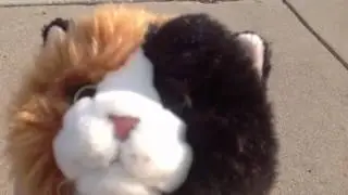 The ULTIMATE Pooflyn Challenge