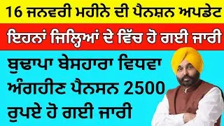 16 January Punjab budapa Pension news 2026, big annoucment punjab government 📢