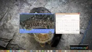 Cum să schimbi coloana audio &icirc;n Light Alloy