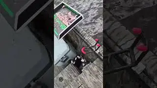 HUGE FISH CAUGHT! You Won't Believe Its Size!