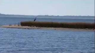 12-31-11 Rocky Creek Park and Lake Somerville [HD]