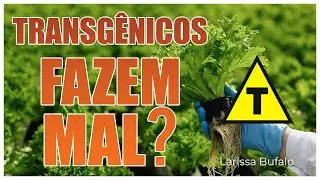 TRANSG&Ecirc;NICOS FAZEM MAL?